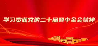 学习贯彻党的二十届四中全会精神